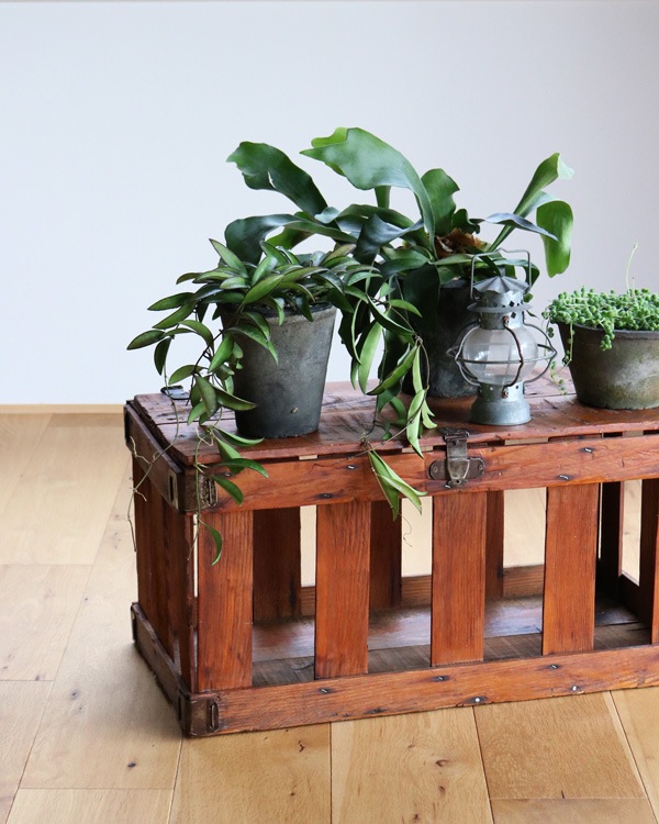 �����󥯥졼��