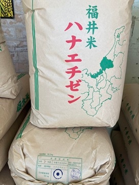 送料無料 新米 令和8年産福井県はなえちぜん1等玄米20kg | 玄米