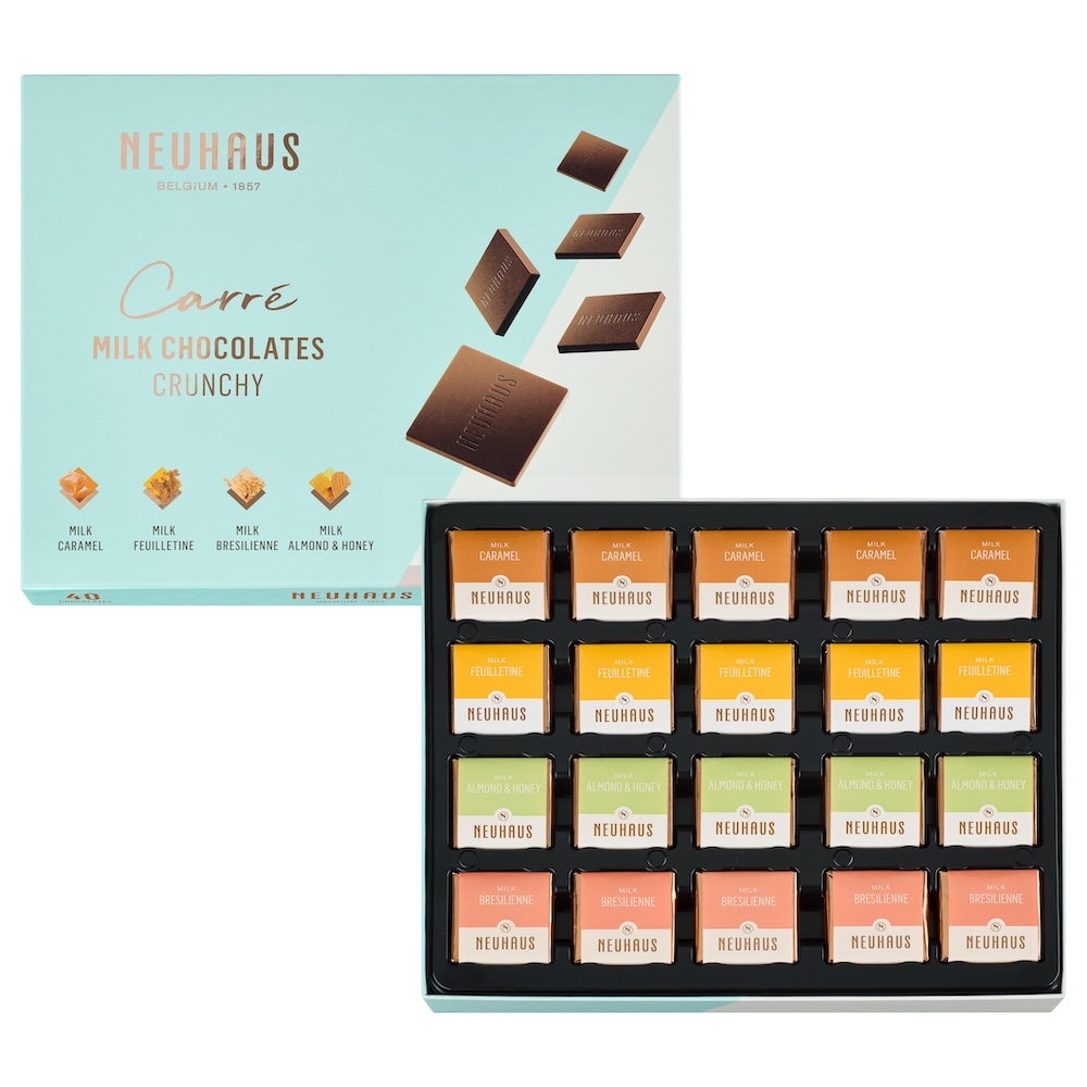 ひゃくえ　クール便　ノイハウス ベルギーチョコレート 500g×2個 ひゃくえ様専用 クール便 ノイハウス ベルギーチョコレート 500g×2個