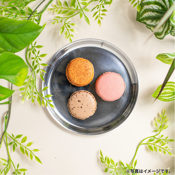 B.B.ں ץե󥻥å ()