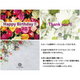 ֥롼ѥͥ ꥸʥߥ ()