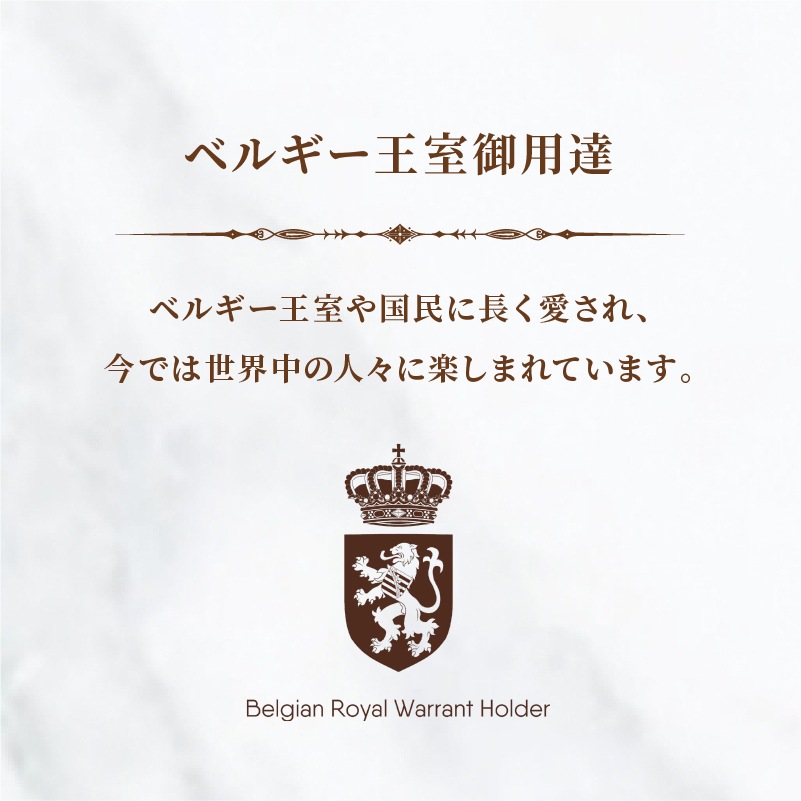 �ӥ����åȥץ쥸���� ���ޥ�ɥ� (�ﲹ��)