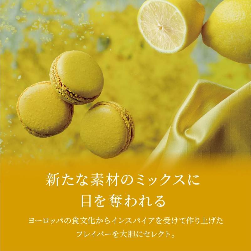 B.B.0ޥ 10 ()