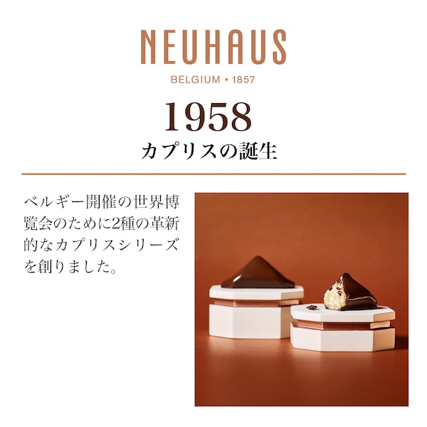 【NH予約商品】アドベントカレンダー ブック