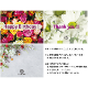 B.B.ƥ꡼ 祳 1 ()