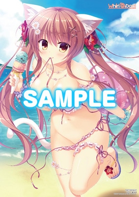 (��������)�ŵ����פ� 2017 SUMMER in ��� �����ӥ��奢��֥å���åȡ���Ź����ŵ�� ��ǵ�椭��������������A3�ݥ������դ�