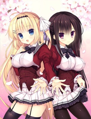 (ps4)�ղ����ꥹ������� Snow Drop �̾��ǡ���Ź����ŵ̵��