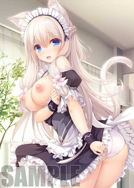 (PC18����)pieces���Ϥ�Ļ�Υ���˥��ࡡWEB����б��ǡ���Ź����ŵ������������B2���ڥ��ȥ꡼�դ�