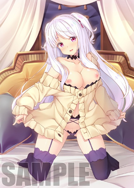 (PC18����)HaremKingdom -�ϡ���७�󥰥���- ������ǡ���Ź����ŵ������������B2���ڥ��ȥ꡼�դ�