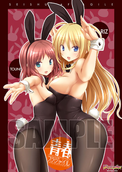 (PC18����)�Ľեե饸�㥤�롡��Ź����ŵ������������W��������B2���ڥ��ȥ꡼�����ꥸ�ʥ륹�ޥۥ�������դ�