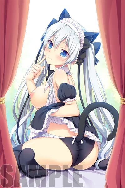 (PC18����)�����ߥ��磻���� (��)����Ź����ŵ������������B2���ڥ��ȥ꡼�դ�