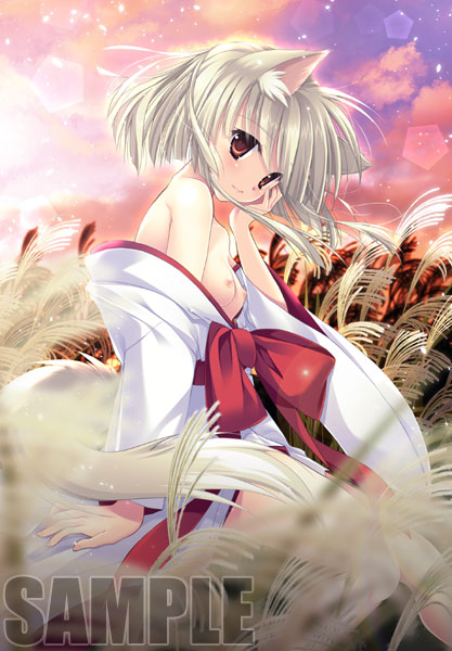 (Ʊͥե)ڥƥ쥫ڥȥ꡼åȡۿ ʥĤξϡ [Ǥܤ]Źŵƥ쥫B2ڥȥ꡼դ