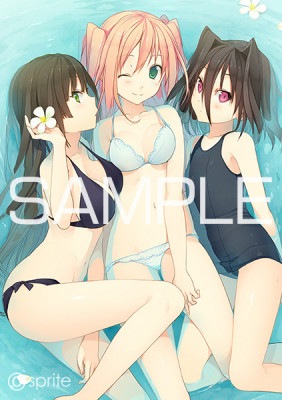 (PC18����)��������ȥ��祳�졼�� HIGH RESOLUTION����Ź����ŵ�����ꥸ�ʥ륢����륹������դ�