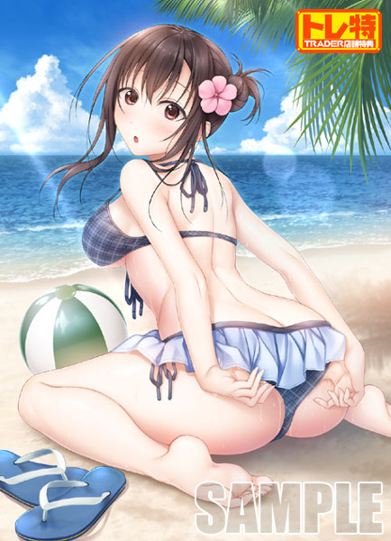 (ns����)��������2 �̾��� NS�ǡ���Ź����ŵ������������B2���ڥ��ȥ꡼�դ�