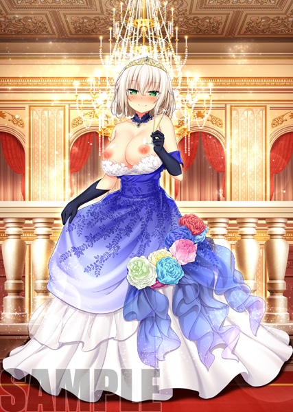 (PC18����)�Υ�ȹĽ�������ǭ�ϡ���1��2 5��ǯ��ǰ����ץ꡼�ȥѥå� -5th Anniversary Edition-����Ź����ŵ������������B2���ڥ��ȥ꡼�դ�