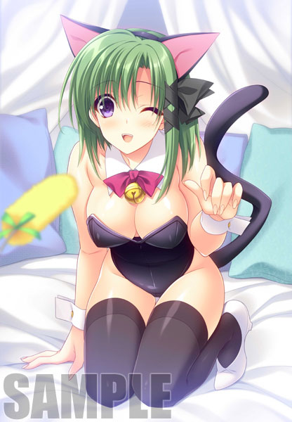 (PC18)PrincessPrincess ̾ǡŹŵذB2Wɥڥȥ꡼Ͽ겼ɥCDڰդ