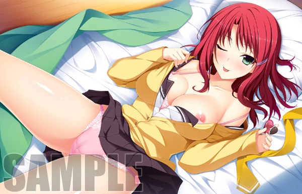 (PC18����)�������ߥ饤 Perfect Edition����Ź����ŵ�����ꥸ�ʥ�B2�ۥݥ������դ�