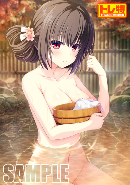 (ps4����)���ݸ奷��ǥ�顡�������������� PS4�ǡ���Ź����ŵ������������B2���ڥ��ȥ꡼�դ�