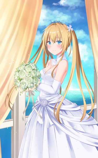 (����PC)�ѥ�ե���ᥤ�� Standard Edition �������������ǡ���Ź����ŵ̵��