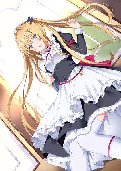 (����PC)�ѥ�ե���ᥤ�� Standard Edition �̾��ǡ���Ź����ŵ̵��