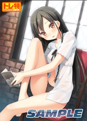 (ps4)ԴѤ ̾ PS4ǡŹŵꥸʥB2ڥȥ꡼դ