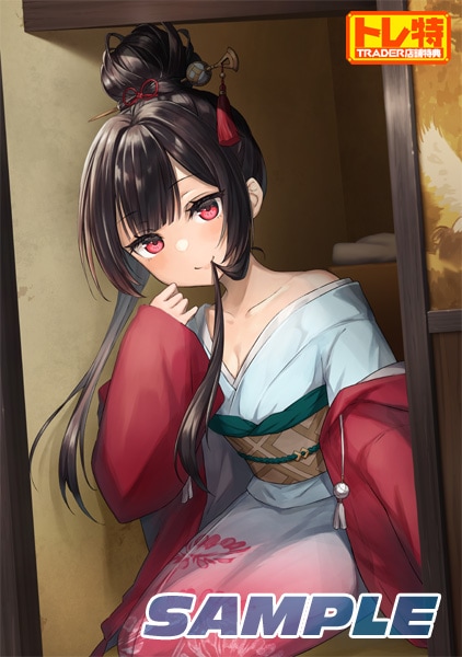 (����PC����)�����ޥ�쥤����� �������������ǡ���Ź����ŵ������������B2���ڥ��ȥ꡼�դ�