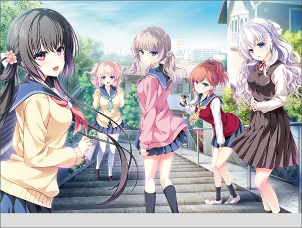 (���å�������¾)�ں����ǡ����ݸ奷��ǥ�顡�������쥤�䡼�饤�ȥե졼�ࡡ��Ź����ŵ̵��