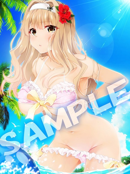 (���å�������¾)�ں��Ρ�κ�λ��� ���女�쥯����� ����ɹ�� B2���ڥ��ȥ꡼����Ź����ŵ̵��