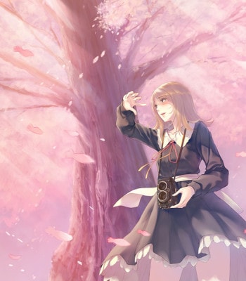 (CD)FLOWERS / ɥɥCDإ٥ꥢβָա١Źŵ̵