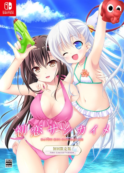 (ns)�������󥫥��� ������ NS�ǡ���Ź����ŵ̵��