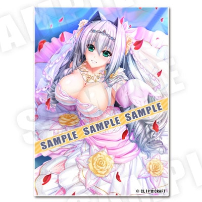 (���å�������¾)��˥��� B2���ڥ��ȥ꡼���ƥ��������ǥ���ver.����Ź����ŵ̵��