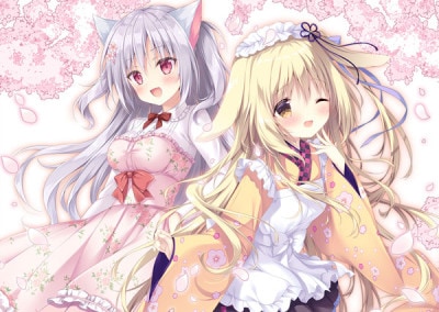 (PC18)ޤ祳顼3 ̾ǡŹŵ̵