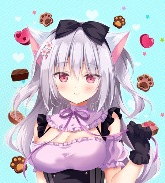 (CD)���ޤ������祳�顼�� ����ץ꡼�ȥ�����ɥ���Хࡡ��Ź����ŵ̵��