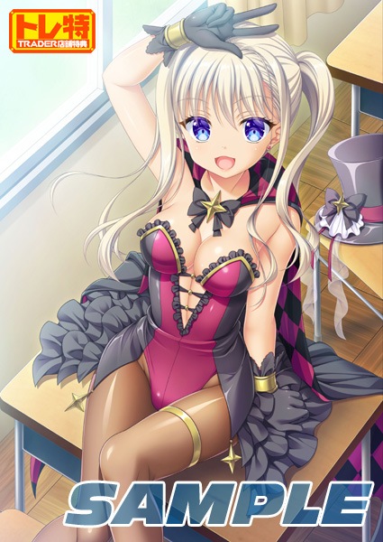 (ns����)AMBITIOUS MISSION �̾��� NS�ǡ���Ź����ŵ������������B2���ڥ��ȥ꡼�դ�