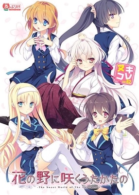 (PC18)�֤���˺餯���������� �̥�����vol.62����Ź����ŵ̵��