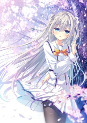 (PC18)D.C.5 Plus Happiness ����ǡ���Ź����ŵ̵��