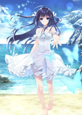 (PC18)�ڤ��ʤ�˥饤���ʥ� �̾��ǡ���Ź����ŵ̵��