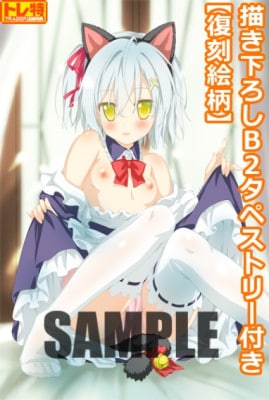 (PC18)ȥ饨򤭱ʱ FHD ReEternityŹŵﳨB2ڥȥ꡼դ