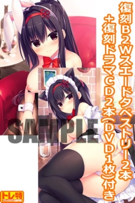 (PC18)ŹƬʻۡͭŵդۥϥߥꥨƥ֡ Wѥå ˥Ჽǰ(ȥ졼)Źŵ3ŵB2Wɥڥȥ꡼2ɥ2ååDVDդ