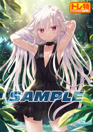 (ns)D.C. Re:tune ݡ 塼 ̴edition  NSǡŹŵB2ڥȥ꡼դ