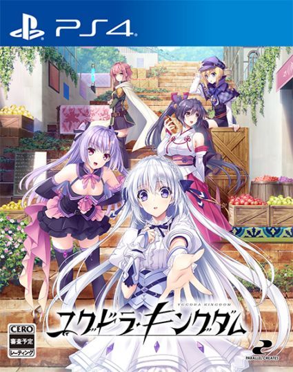 (ps4)楰ɥ顦󥰥 ̾ PS4ǡŹŵ̵