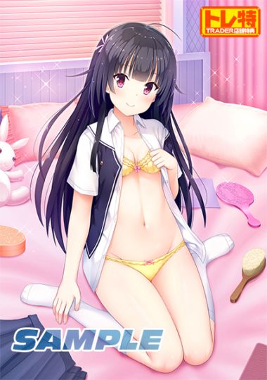 (ns����)�����å��������������������� NS�ǡ���Ź����ŵ������������B2���ڥ��ȥ꡼�դ�