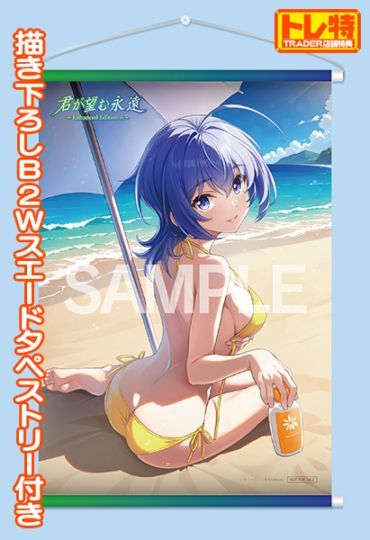 (PC18����)����˾��ʱ� ��Enhanced Edition R�� �����������ǡ��õ���Ver.�ˡ���Ź����ŵ������������B2W�������ɥ��ڥ��ȥ꡼�դ�