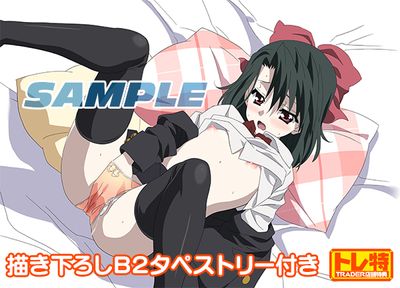 (PC18����)School Days REMASTERED �������ǡ���Ź����ŵ������������B2���ڥ��ȥ꡼�դ�