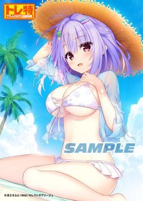 (ns����)�����ͽ�󥭥��ڡ���λ�ۥ��쥯�ȥ��֥꡼���塡�����������ǡ���Ź����ŵ������������B2���ڥ��ȥ꡼�դ�