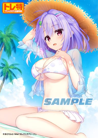 (ns����)�����ͽ�󥭥��ڡ���λ�ۥ��쥯�ȥ��֥꡼���塡�����������ǡ���Ź����ŵ������������B2���ڥ��ȥ꡼�դ�