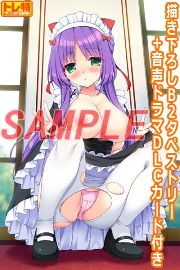 (PC18����)�������� ��ڸ����ǡ���Ź����ŵ������������B2���ڥ��ȥ꡼�������ɥ��DLC�������դ�