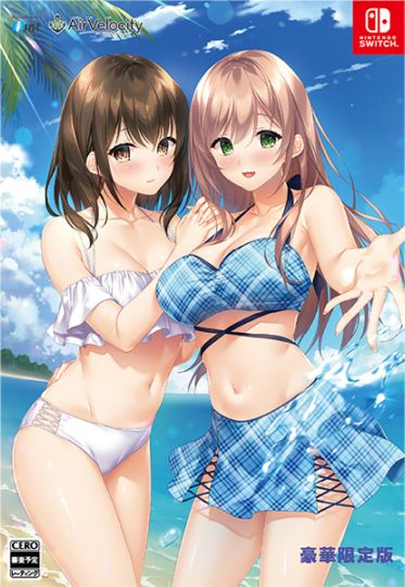 (ns)�ϥåԡ�������������ɡ���ڸ����� NS�ǡ���Ź����ŵ̵��