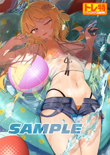 (ns����)VIRTUAL ENCORE �������������� NS�ǡ���Ź����ŵ������������B2���ڥ��ȥ꡼�դ�