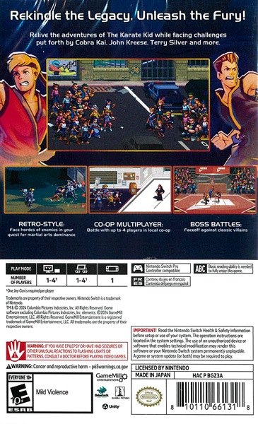 ŹƬʻ(NS)The Karate Kid: Street Rumble ǡ